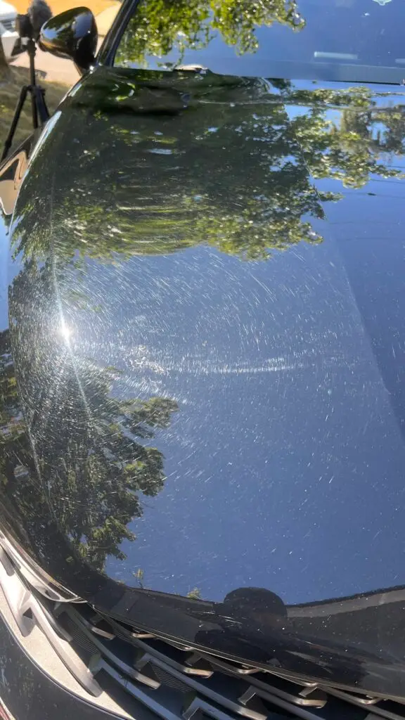 paint correction before